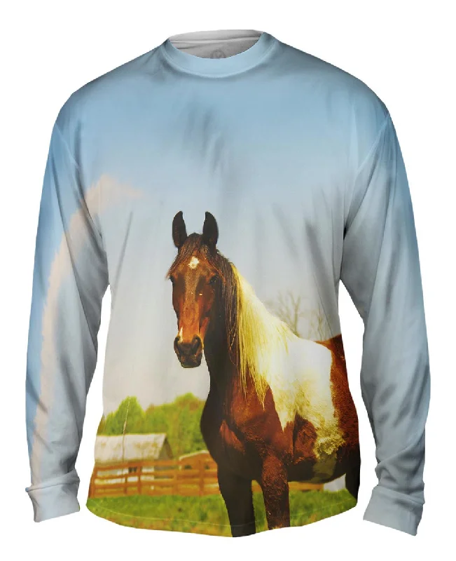 Knit Long Sleeve-Mountainous Brown White Horse