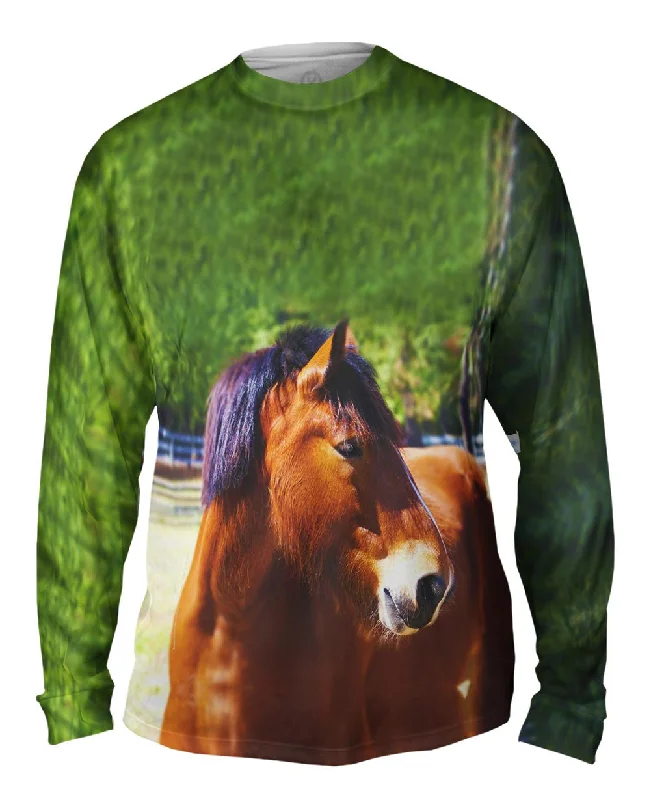 Winter Long Sleeve-Longing  Horse