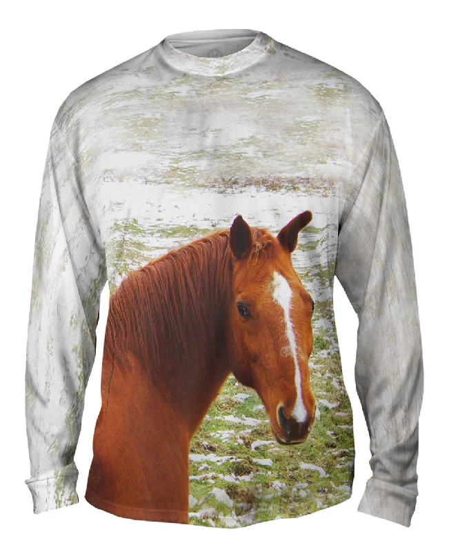 Streetwear Long Sleeve-Horse Looking Back