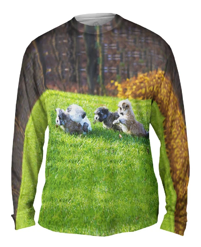 Crew Neck Long Sleeve-Maltese Friends Playing