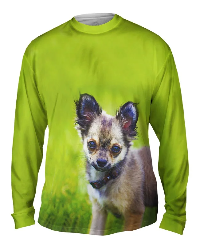 Layered Long Sleeve-Longhaired Chihuahua