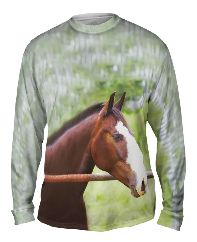 Graphic Print Long Sleeve-Horse At Rest