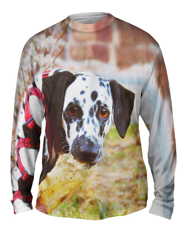 Hoodie Long Sleeve-Gusty Dalmation