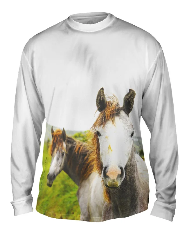 Baseball Long Sleeve-Horse With Golden Mane