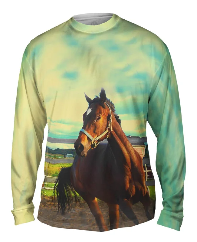 Basketball Long Sleeve-Horse Out For A Run