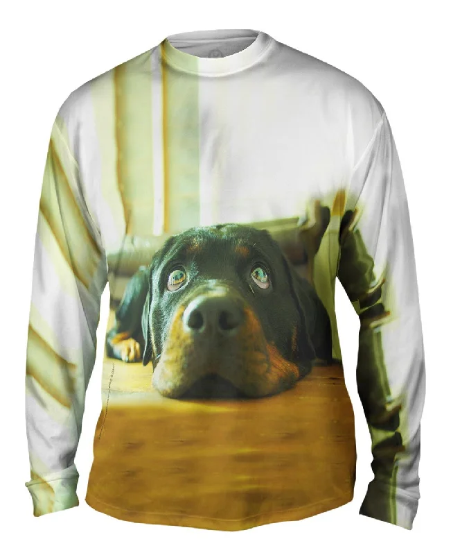 Pullover Long Sleeve-Motionless Rottweiler Puppy Eyes