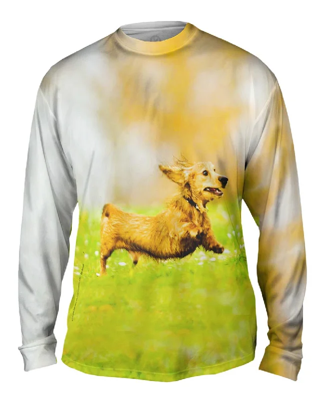 Dressy Long Sleeve-Hyper Active Dachshund