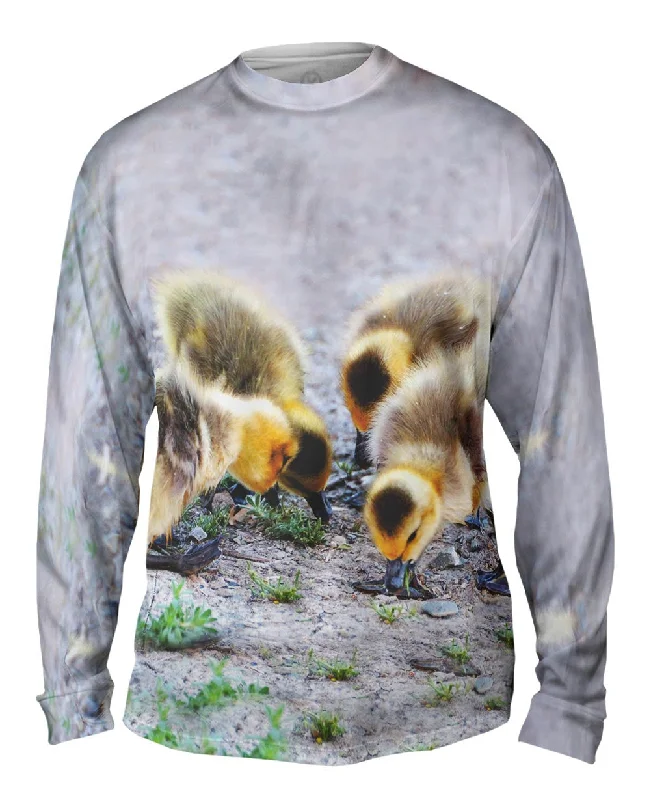 Logo Long Sleeve-Little Goslings Feeding