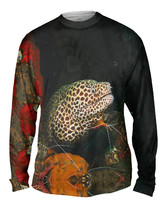 Soft Long Sleeve-Honeycomb Moray Underwater